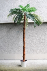 021 Veštačka stabla palme